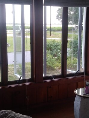 Salt marsh views