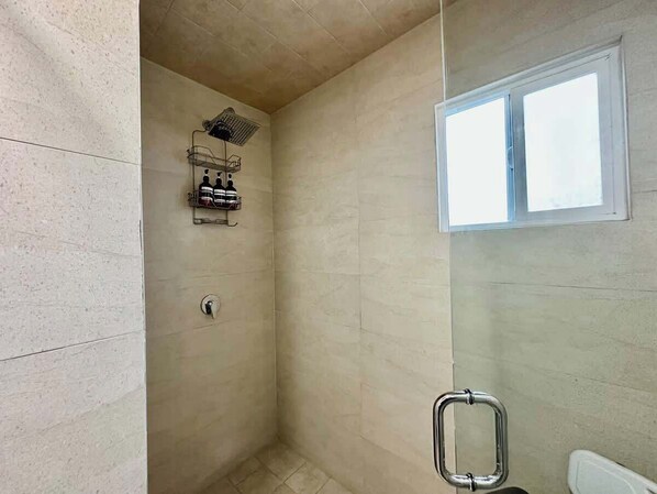 Full bathroom with steam bath