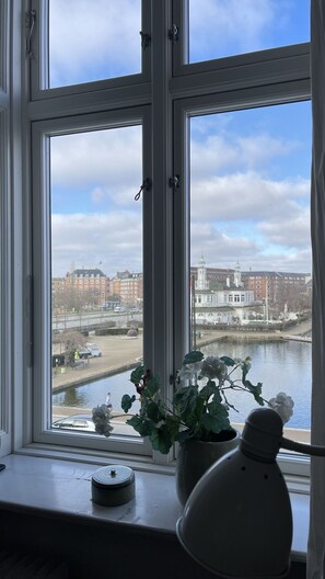 Scenic View
