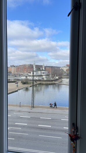 Scenic View