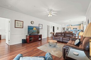 Living Room TV