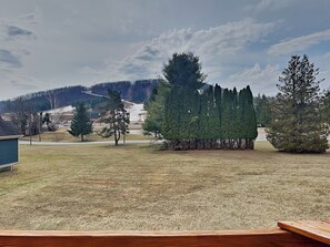 Mountain Views