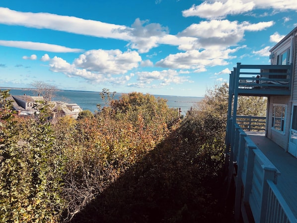 Vista desde la propiedad