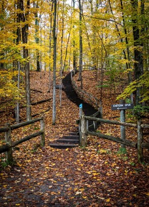 Miles of natural hiking trails out our back door