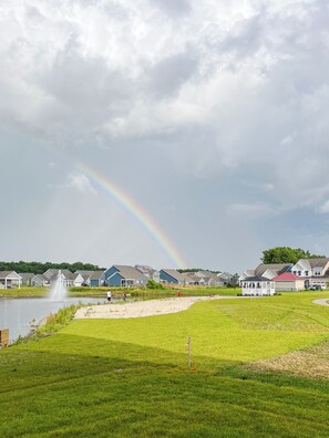 Rainbow after a summer shower. View from backyard 
