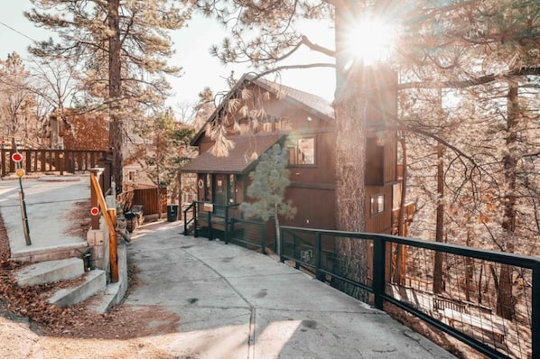 The cabin's driveway and walkway into the house.