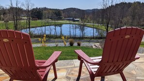 View of Neighboring Pond from Patio