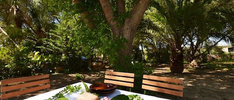 terrace