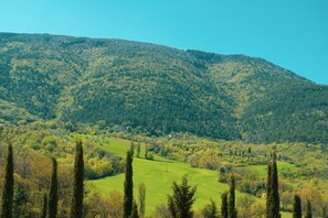 Immediate Surroundings [summer] (&lt;1 km)