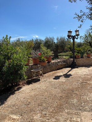 Terrace/patio