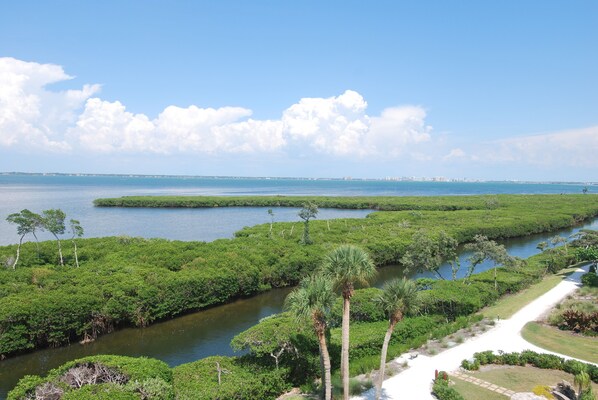 View from balcony.