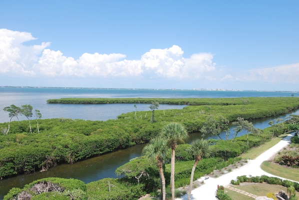 View from balcony.