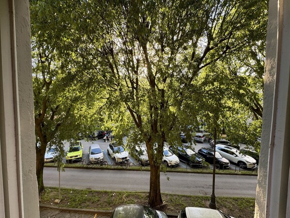 Fahrzeug, Auto, Baum, Kraftfahrzeug, Rad, Transport, Automobil-Außen