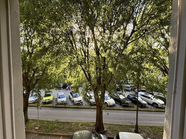 Fahrzeug, Auto, Baum, Kraftfahrzeug, Rad, Transport, Automobil-Außen
