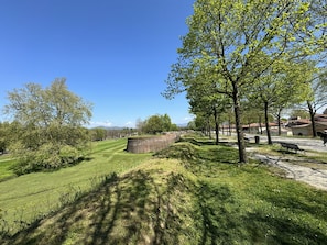 Baum, Gras, Ast, Wiese, Einfach, Grundstueck, Ground, Wiese, Garten, Rasen