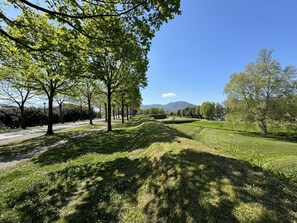 Grün, Gras, Natur, Natürliche Landschaft, Vegetation, Wiese, Hügel, Einfach, Landschaft, Grundstueck