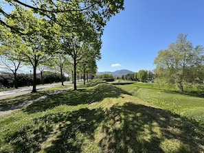 Grün, Gras, Natur, Natürliche Landschaft, Vegetation, Wiese, Hügel, Einfach, Landschaft, Grundstueck