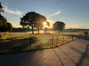 View from Holiday Home [summer]