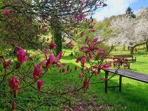 Boendeområde