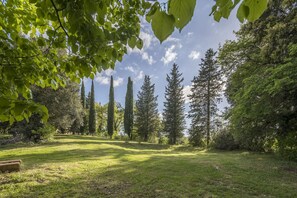 Autumn, Garden, Spring, Summer