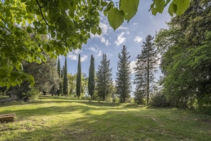 Autumn, Garden, Spring, Summer