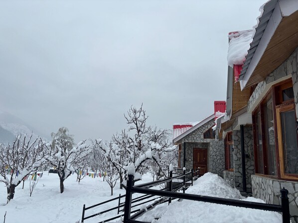 Exteriör