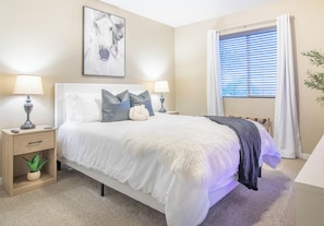 Queen bed with electric fireplace and TV