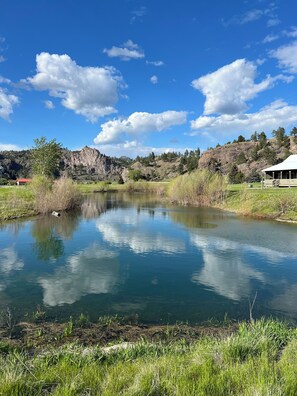 Pond
