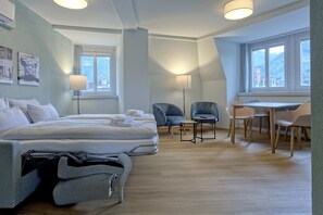 Living room /Sofa bed / dining area / kitchen