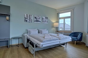 Living room /Sofa bed / dining area / kitchen
