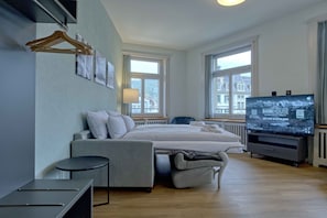 Living room /Sofa bed / dining area / kitchen