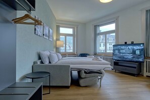 Living room /Sofa bed / dining area / kitchen