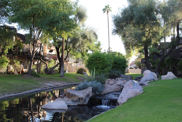 Property grounds