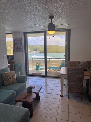 View from the living room
