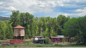 Oklassificerad bild, 3 av 14, knapp
