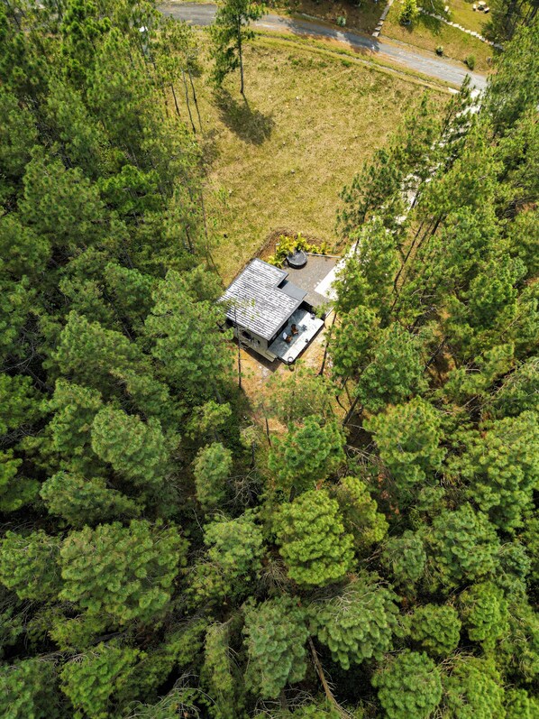 Hidden retreat in the woods, ideal to unplug.