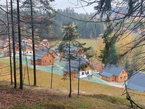 Tree, House, Cottage, Home, Roof, Human Settlement, Village, Larch, Log Cabin, Hut