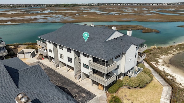 Cordgrass Has It All!