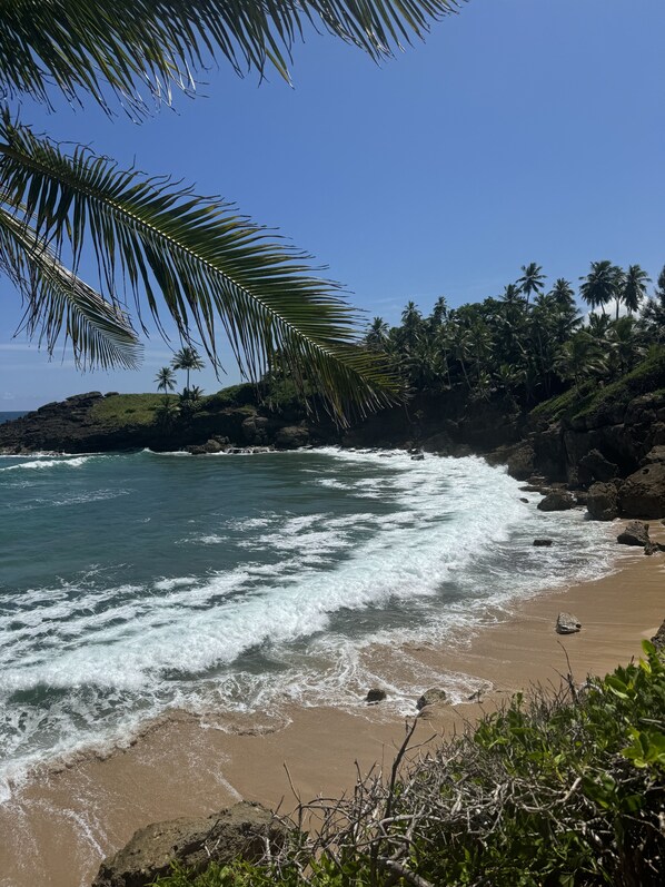 Strand