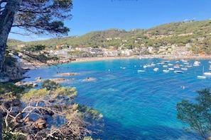 Region [summer] (&gt;5 km)