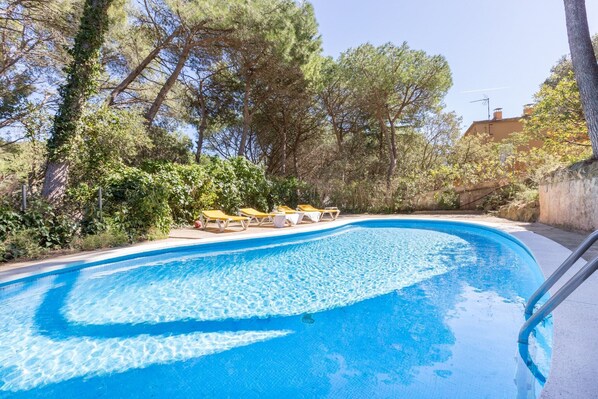 Schwimmbad des Ferienhauses