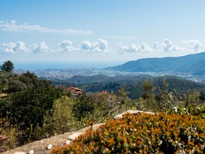 Sky, Leaf, Mountainous Landforms, Nature, Vegetation, Hill, Natural Landscape, Mountain, Horizon, Highland