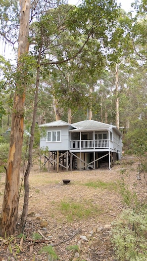 Karri Cove and surrounding grounds