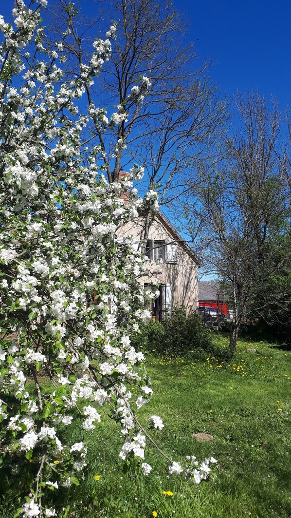 Boendeområde