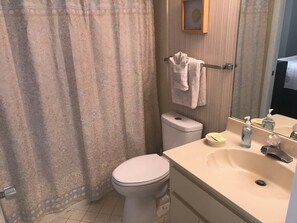 Guest Bath