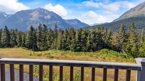 Deck Views