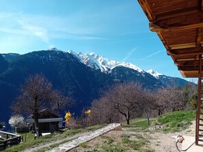 Vista dalla struttura