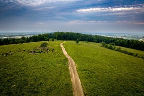 Oklassificerad bild, 5 av 18, knapp