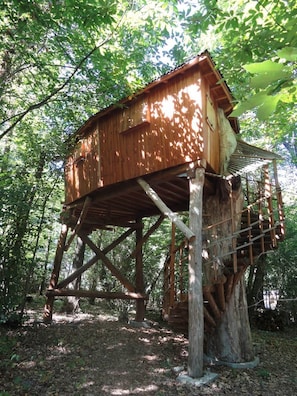 cabane dans les arbres