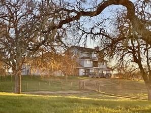 The Manor